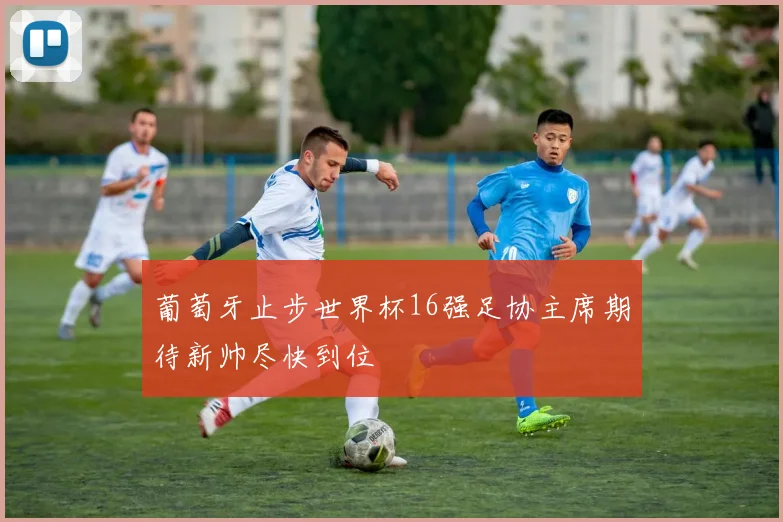 葡萄牙止步世界杯16强足协主席期待新帅尽快到位